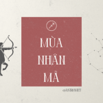 Mùa Nhân Mã – Thời Điểm Của Những Rung Cảm Tích Cực